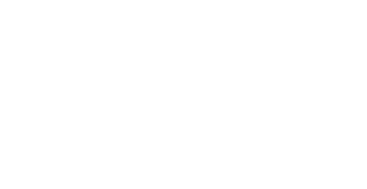 palaagency